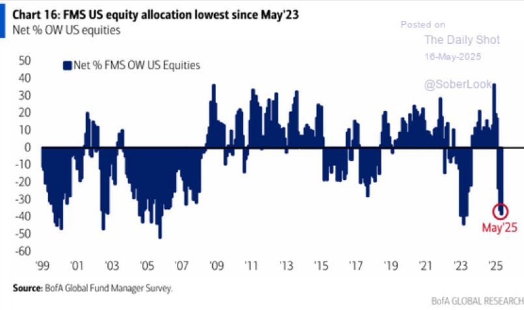 THE SHORT BEAR tweet media