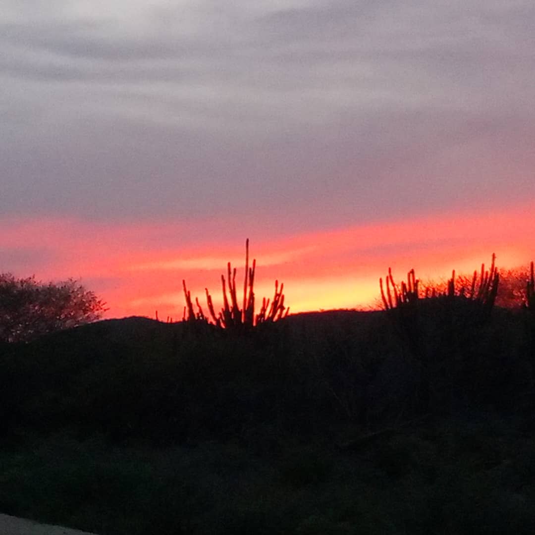 Espectacular Atardecer ..
El Color  como Protagonista ..
Crepúsculos de mi Hermoso Campo ..