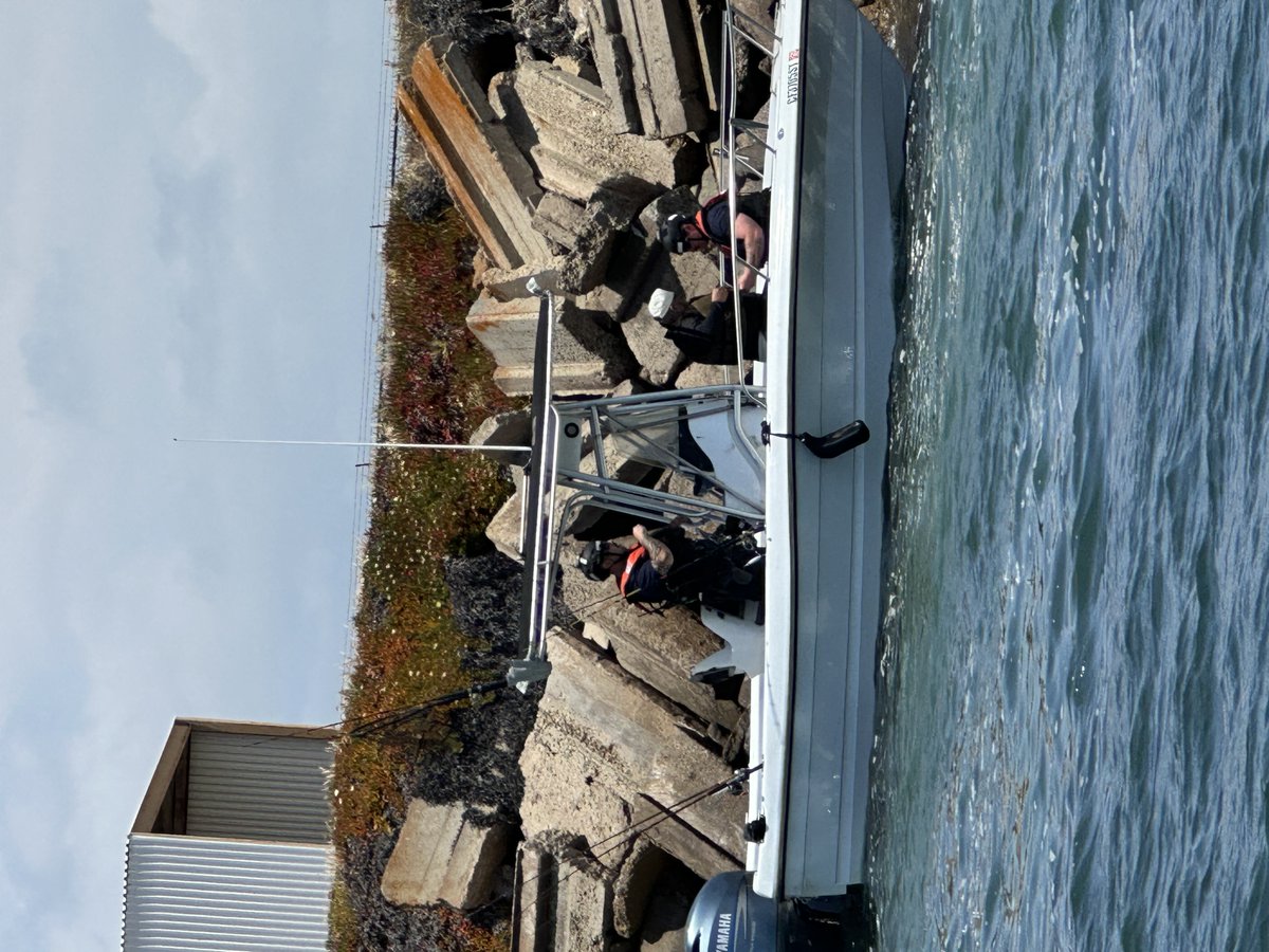 The crew of the USCGC Haddock (WPB-87347), Station San Diego and partner agencies apprehended 11 aliens in the San Diego Bay, May 18, 2025. All 11 aliens claimed Mexican nationality and are in Border Patrol custody.
Read more: https://t.co/mLaWU0kolt
#SouthwestBorder #CoastGuard https://t.co/jotL0tiNwz