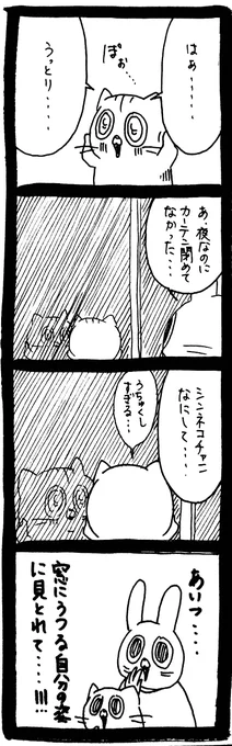 【猫】鏡よ鏡 