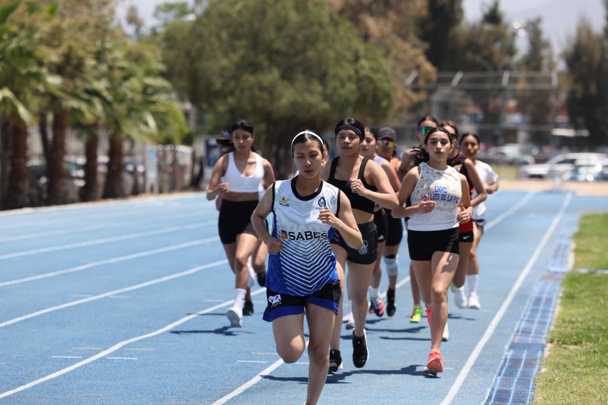 SABES_GTO's tweet image. Destacan estudiantes del #BachilleratoSABES en los Juegos Deportivos Estatales #CONADEMS 2025.

Cuatro estudiantes viajarán con la delegación guanajuatense que competirá en los Juegos Deportivos Nacionales CONADEMS 2025, que se llevarán a cabo el próximo mes de junio en la ciudad