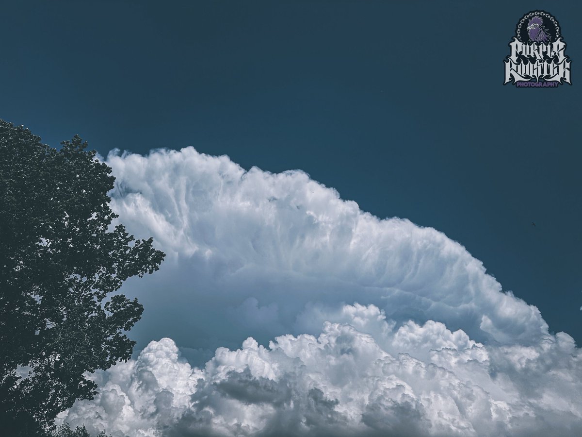 PurpleRooster_'s tweet photo. Oklahoma’s Fury https://t.co/SSZW5TmgfP