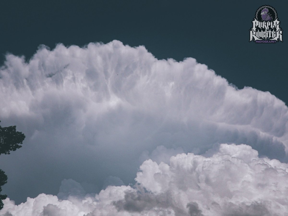 PurpleRooster_'s tweet photo. Oklahoma’s Fury https://t.co/SSZW5TmgfP