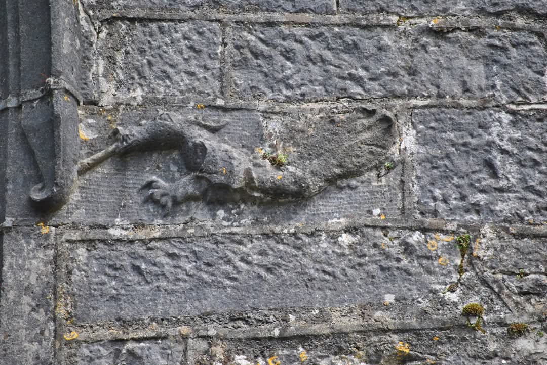 Late medieval window above the west doorway of Loughrea Carmelite Friary. A griffon acts as a decorative stop to the left of the window while a wyvern is found on its right.