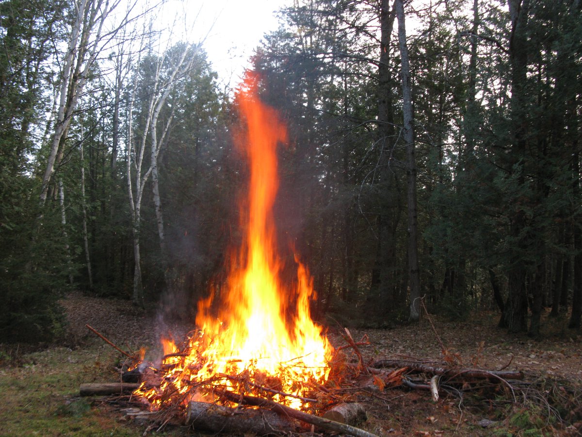 newman_goodmoon's tweet image. #FireWitch 🔥🧙‍♀️#FireRitual 🔥 #Embers #FirePit
youtu.be/Rvw-23abRmc?si…