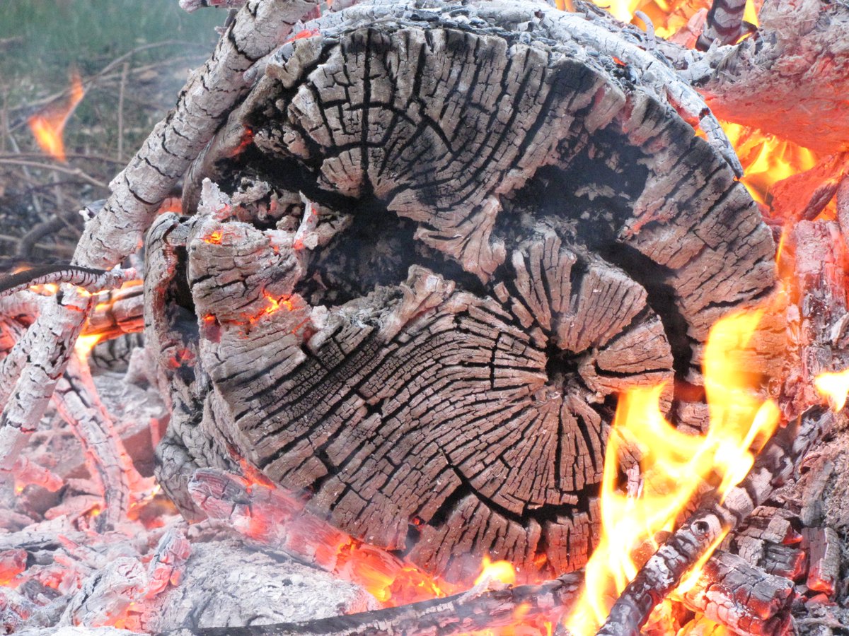 newman_goodmoon's tweet image. #FireWitch 🔥🧙‍♀️#FireRitual 🔥 #Embers #FirePit
youtu.be/Rvw-23abRmc?si…