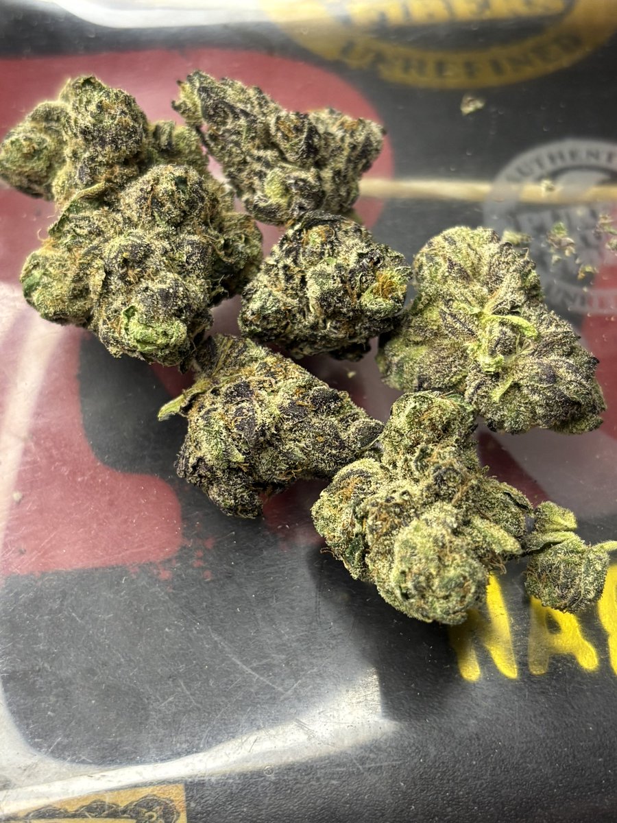 Zello #4
Organnicraft