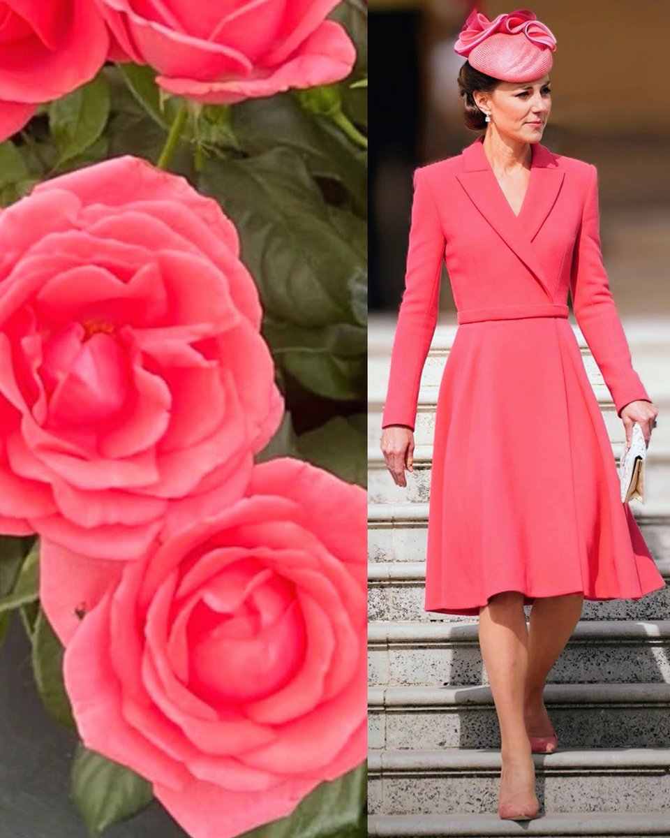 kirty_dwh's tweet image. 🌹English rose #ThePrincessofWales