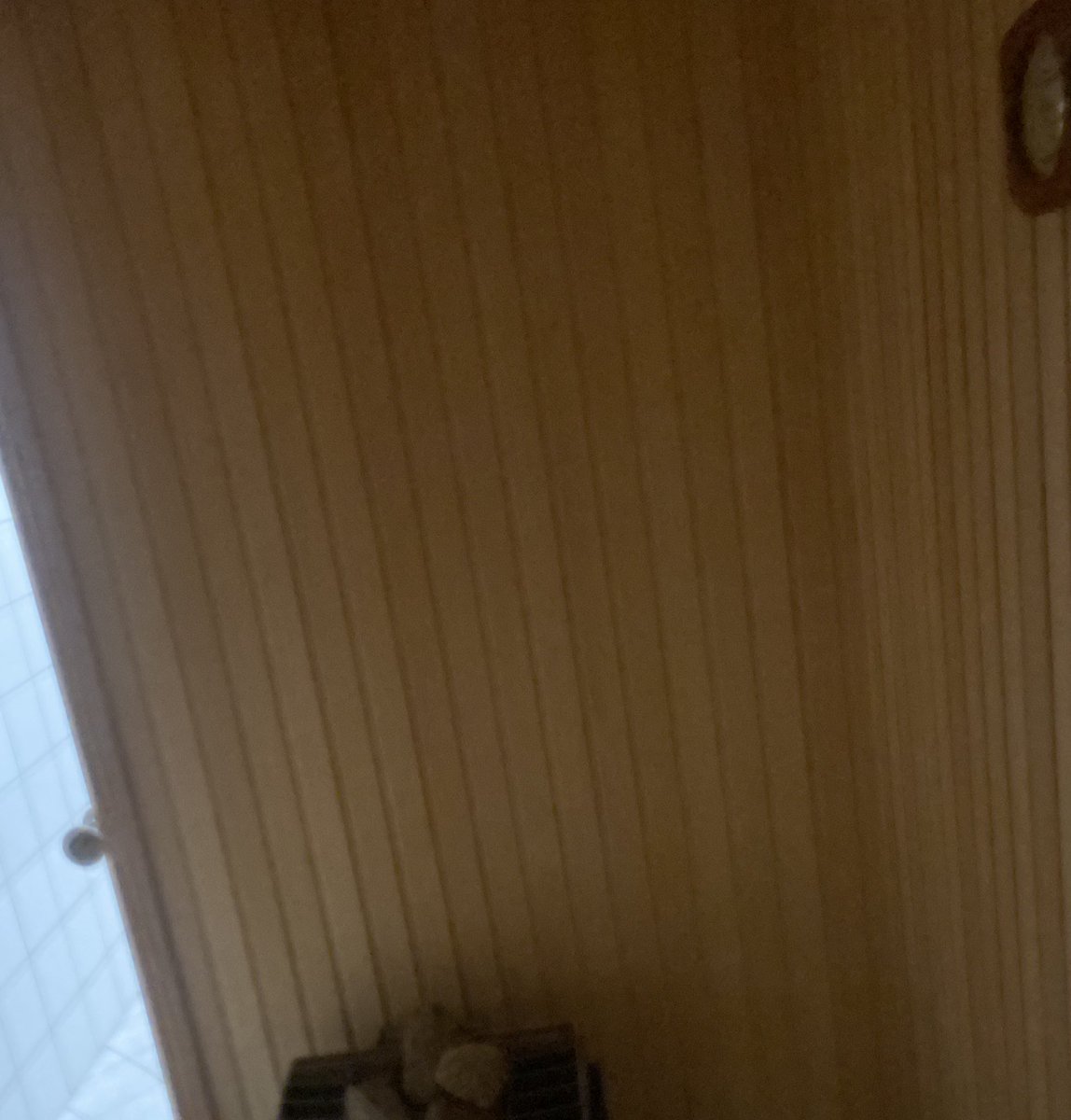 miranda0b's tweet photo. Bedre blodsirkulasjon
Avgiftning
Lindring av muskelsmerter 
 Støtte til immunforsvaret
Bedre hudhelse
Hjelper restitusjon etter trening
Stressreduksjon
Bedre søvnkvalitet
Økt velvære og humør
#badstue #sauna https://t.co/C9kgAWjump