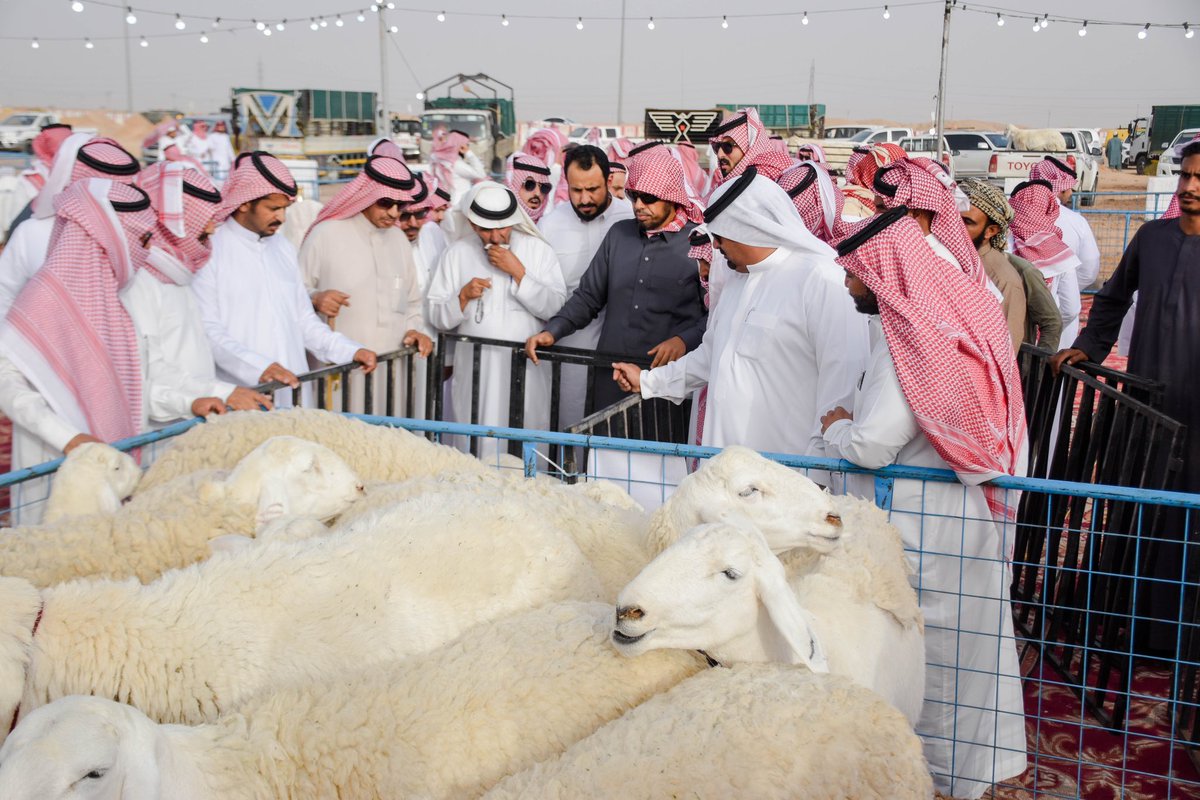 نايف الحزيم tweet media