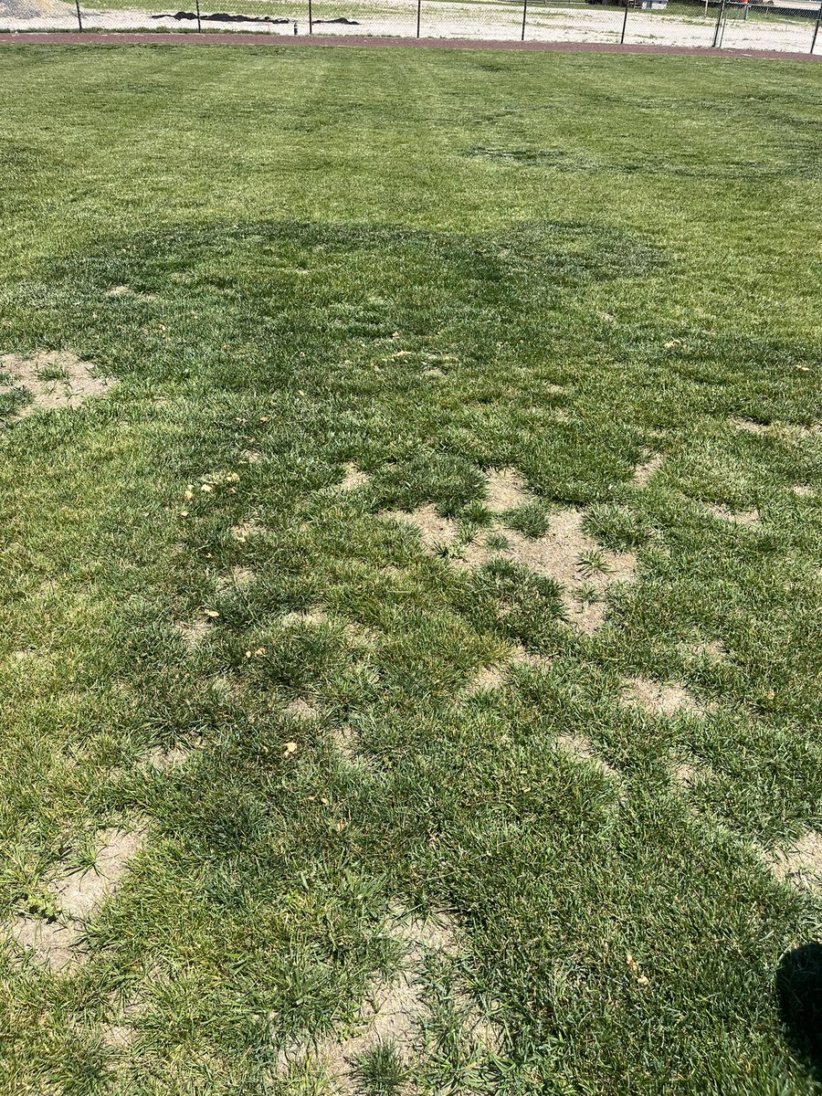 SussexTechTurf's tweet photo. #friskyfairyringfriday but on Monday. https://t.co/fZxPbrwsig