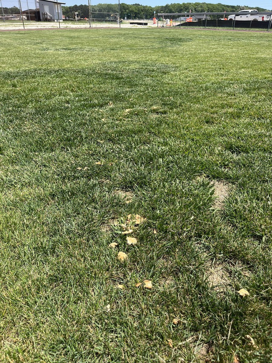 #friskyfairyringfriday but on Monday.