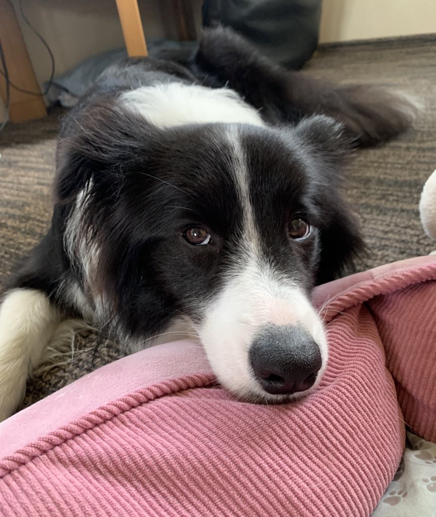 姉ちゃん登校したからお留守番部屋連れて行かれるまでくつろぐ