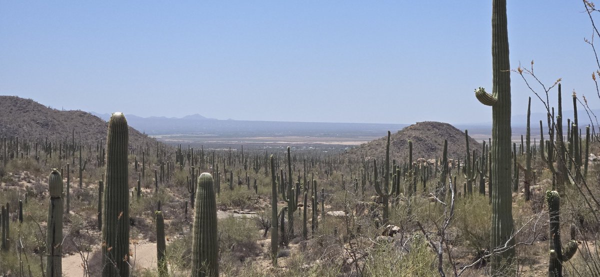 Headed back home from Arizona, time to heal the sunburn and all the blisters and bruises from hiking 🫡