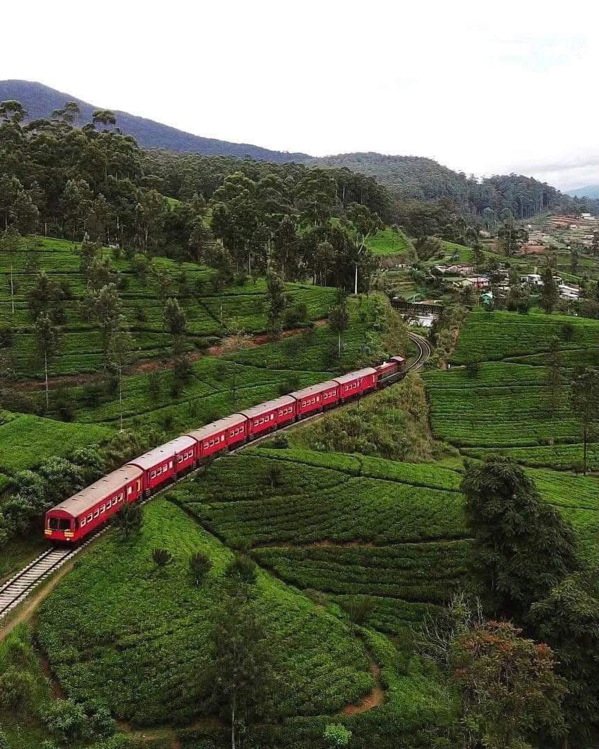 crewforshoots's tweet photo. Trusted by Top production companies around the world for Line Production in Sri Lanka/Maldives Contact: producer@crewforshoots.com visit: https://t.co/opB1ezOL6D #srilanka #filmlocations #crewforshoots #filmcrew #filminginsrilanka #shootinginsrilanka #lineproduction or simply DM https://t.co/kxuusvX7w1