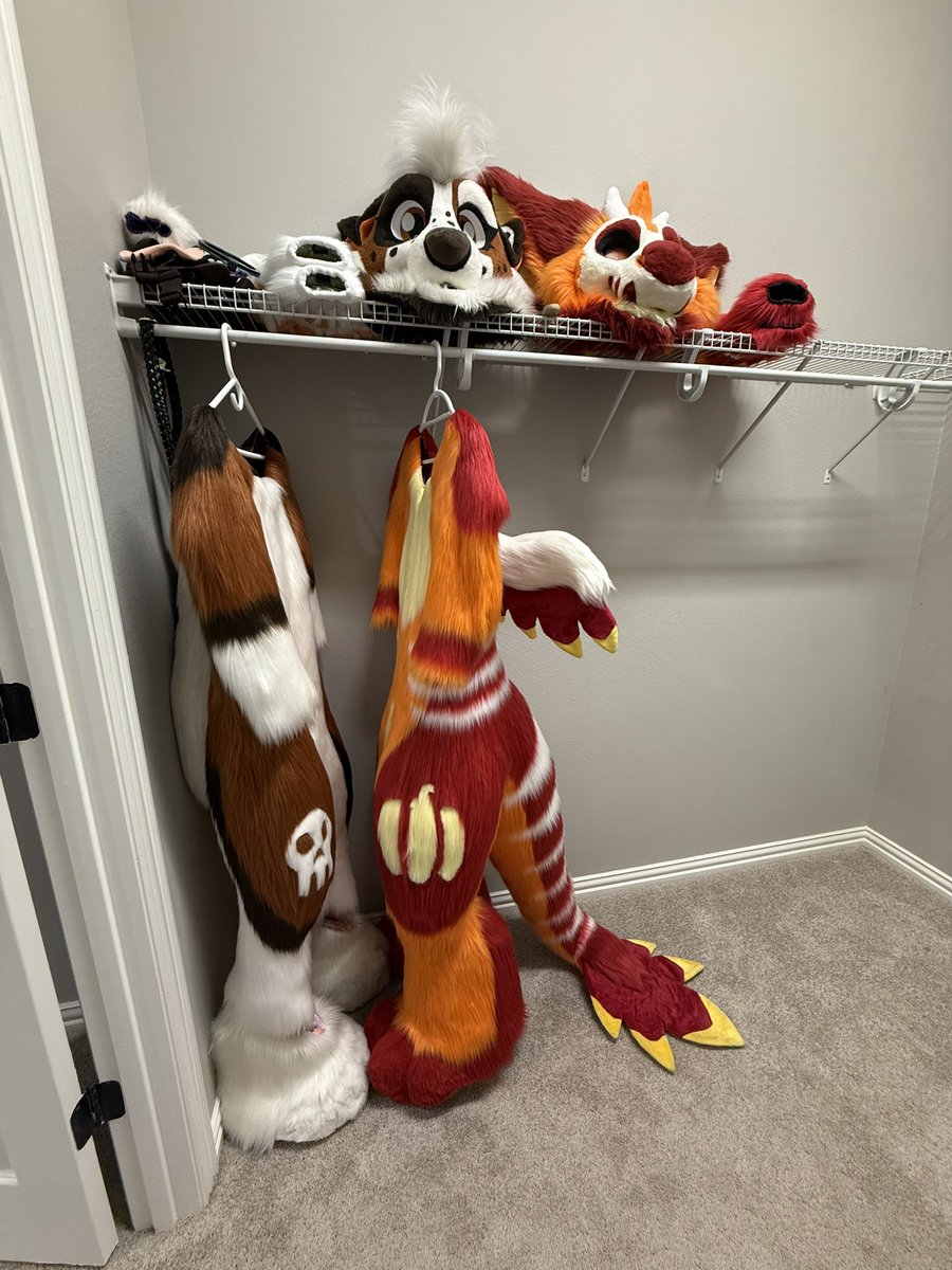 Move in basically completed amirite