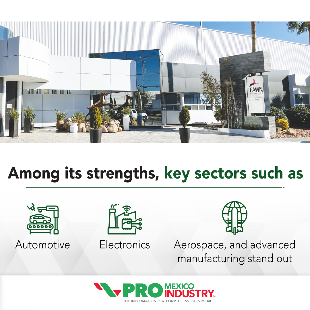 ProMexicoInd's tweet photo. 🚀 Chihuahua ranks as the eighth state contributing the most to Mexico’s economy. With 44.4% of its economy dedicated to the industrial sector, the state has established itself as a key driver of the country's economic development.  
https://t.co/Nk8SnIOwyi https://t.co/1p7ywIlL6u