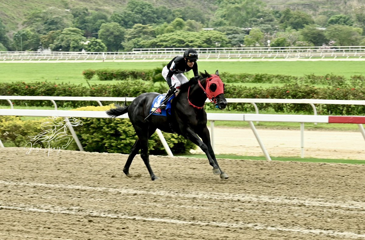 Haras Los Caracaros tweet media