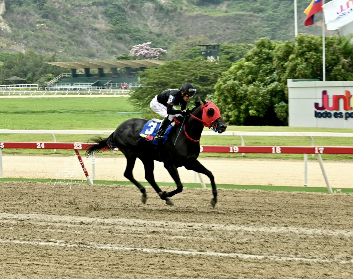 Haras Los Caracaros tweet media
