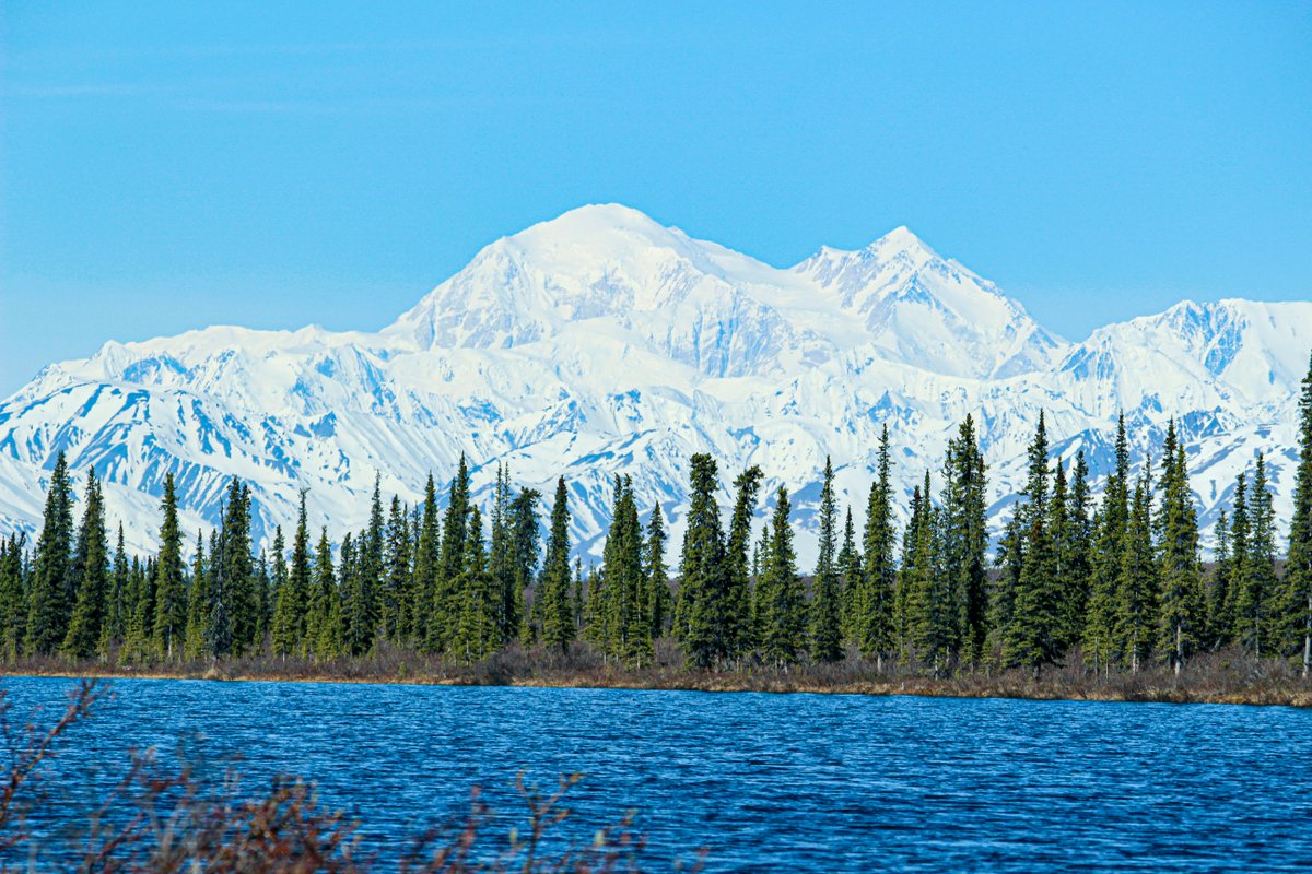 Experience the awe of Alaska’s untamed wilderness with fellow DU alumni as you journey deep into Denali National Park, August 10–15, 2025. Spots are limited, so sign up today to reserve your place.

Learn more and register at alumni.du.edu/content/discov…