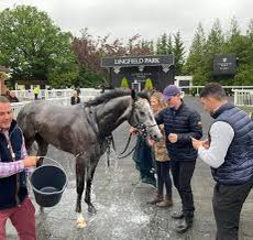 OTB_RACING1's tweet image. 16:40 Lingfield

Mart 5/2 

Mart looks very well treated here on last years form, takes a drop in grade here and is operating 5lbs below his last winning mark. 

David Probert does the steering this time and he possesses a 20% strike rate at Lingfield this season and 12.6% all…