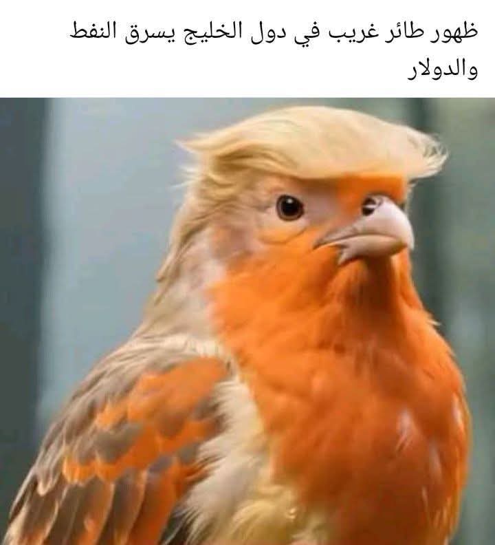 Dr.. Sultan (@ovo195789) on Twitter photo 
