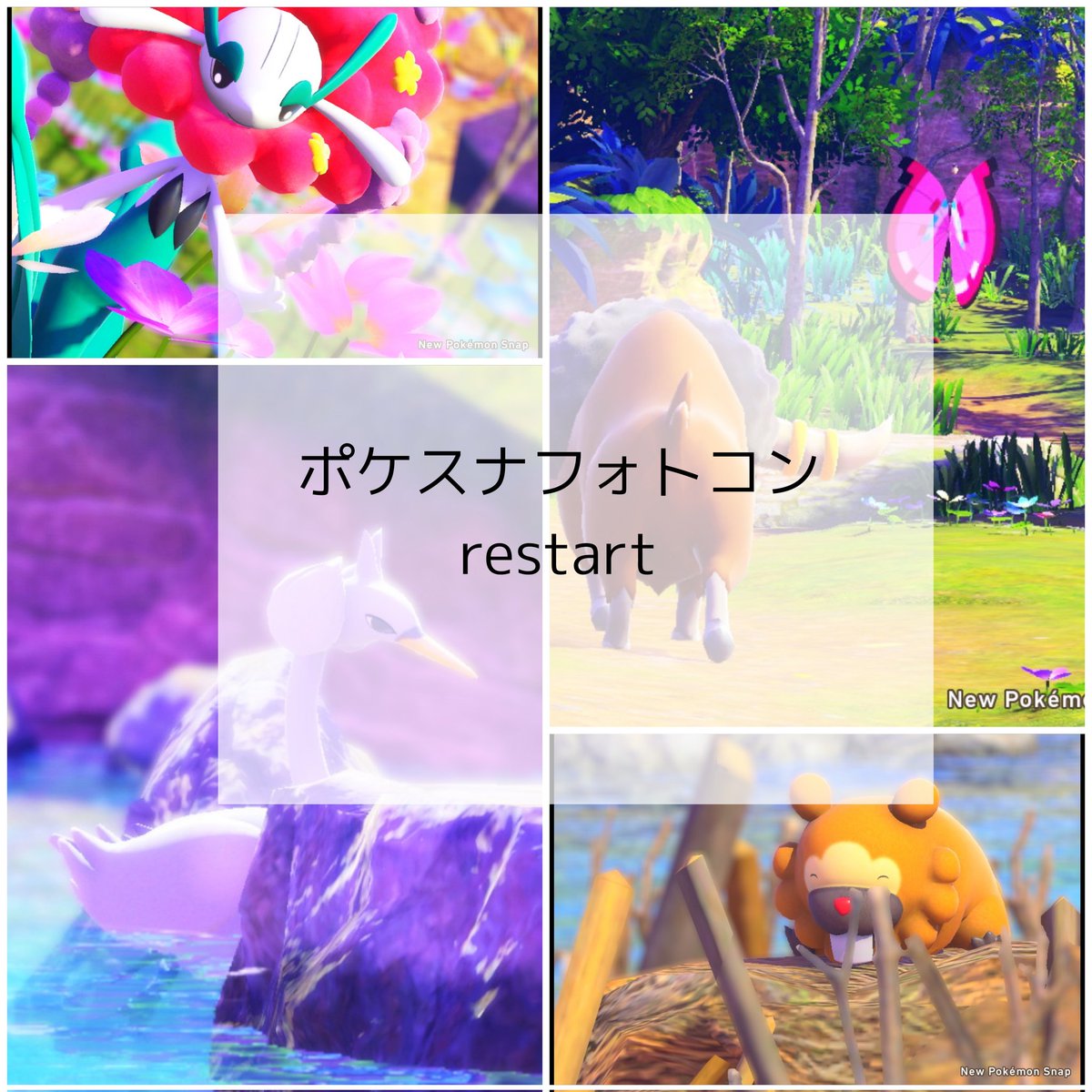 Rhea_two's tweet photo. Newポケスナを再び盛り上げるべくフォトコン開催します！！
今から買っても参加できる企画になっております！ご興味ある方はぜひこの機会に！！
#ポケモン企画
#ポケスナフォトコンrestart
詳細はノートをご覧ください！！
6/12(木)～6/16(月)
拡散応援してくださると喜びます
https://t.co/s0uNE9jRp8 https://t.co/nrGmtWRFSw