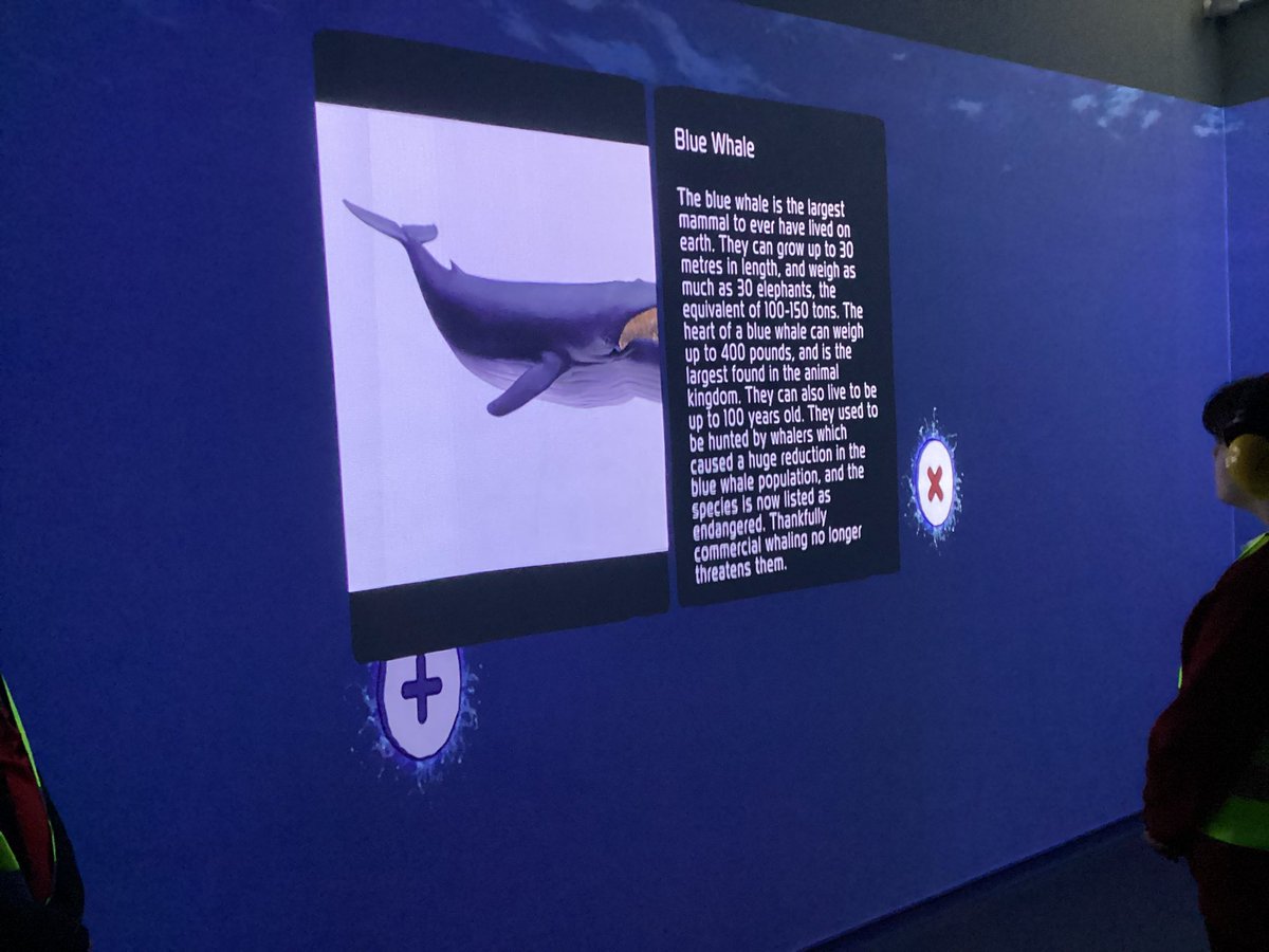 BeHereToAchieve's tweet photo. We were very lucky to visit Airdrie Library @LibrariesNL and experience their immersive classroom. This extended our knowledge of life under the sea and has gotten us excited for our upcoming visit to Deep Sea World. @StSerfsAirdrie https://t.co/Vlj2LNIoWd