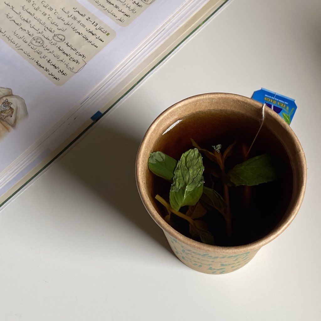 لولا تخدير الشاهي تالي الليل،'
ما كان ذقت طعم الحياة السعّيدة"