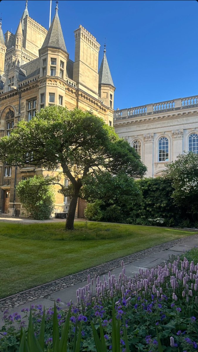 KuldeepSin18145's tweet image. Just moved to Cambridge, UK 🇬🇧
Everyone&apos;s buzzing about vibecoding, Y Combinator, pitching VCs &amp;amp; raising funds.
The startup energy here is unreal — I’m all in! 💥 #CambridgeTech #StartupLife #vibecoding
#Startups
#AI