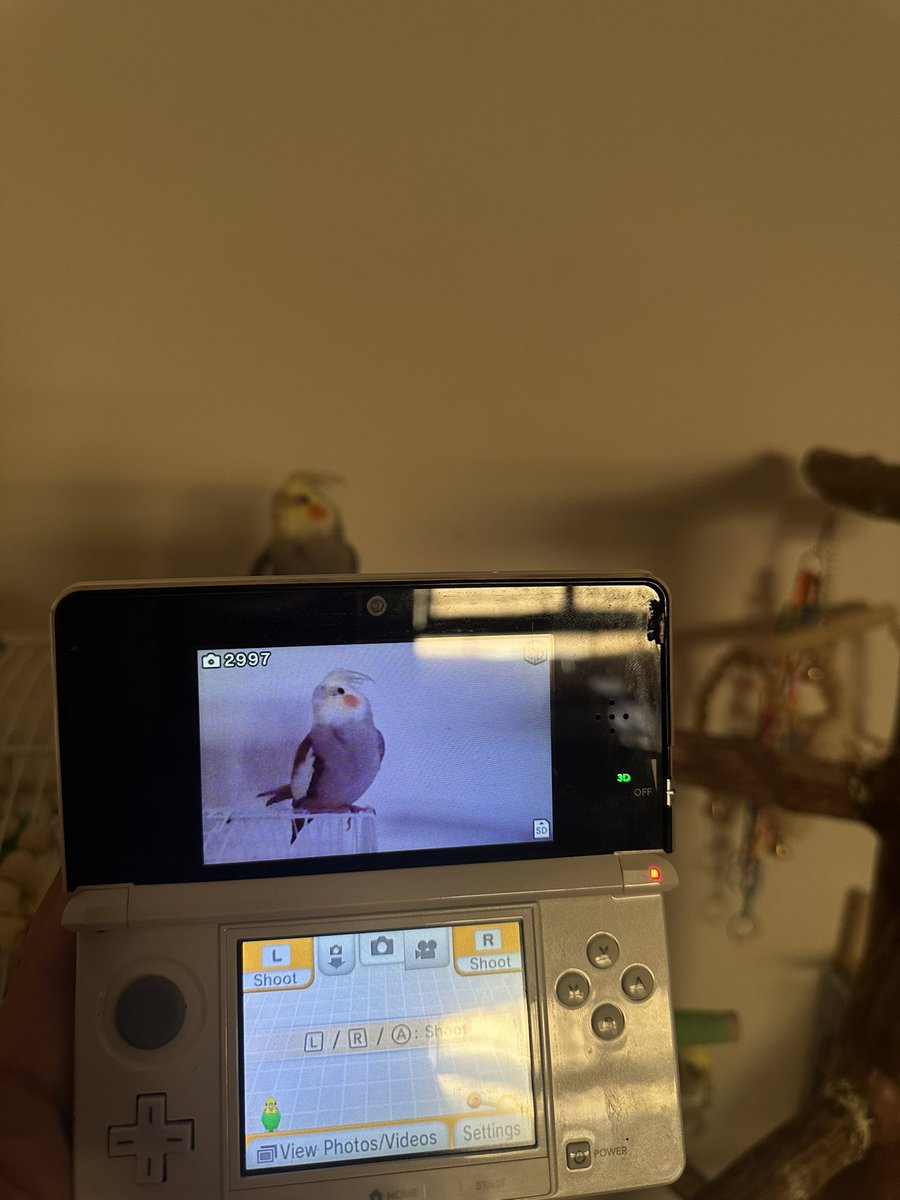 🌱🌿🍃🌻🌼🎮