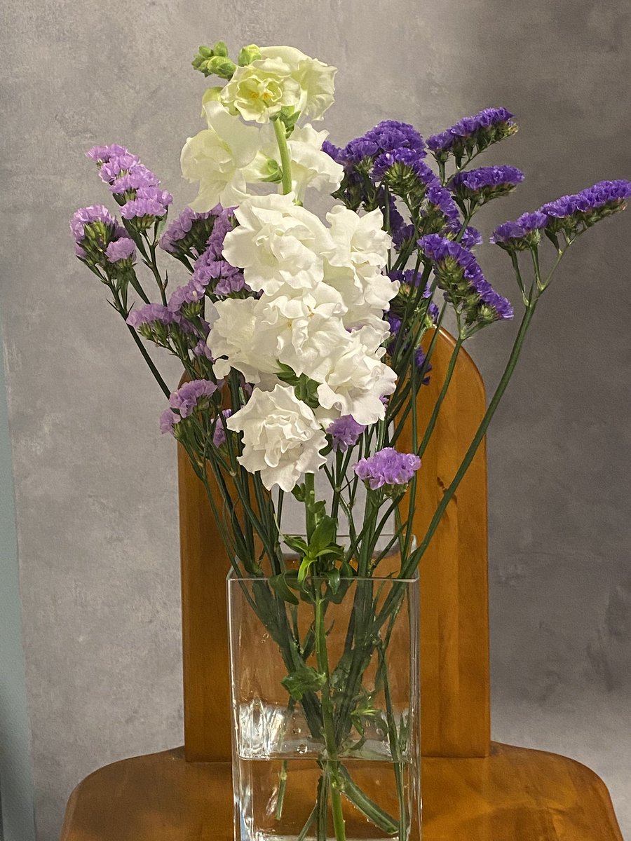 卒業生の庄司さんが、自身が生産している花をひょんなきっかけで、他教員経由で届けてくれました💐
卒業生が頑張ってる近況が知れるのは嬉しいですね！
ありがとう😊

#宮城大学　#食産業学群　#生物生産学類　#施設園芸学研究室
#スターチス　#ストック