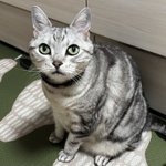 いい女のバッグは小さい」？→エマ・ワトソンさんは「バッグ女