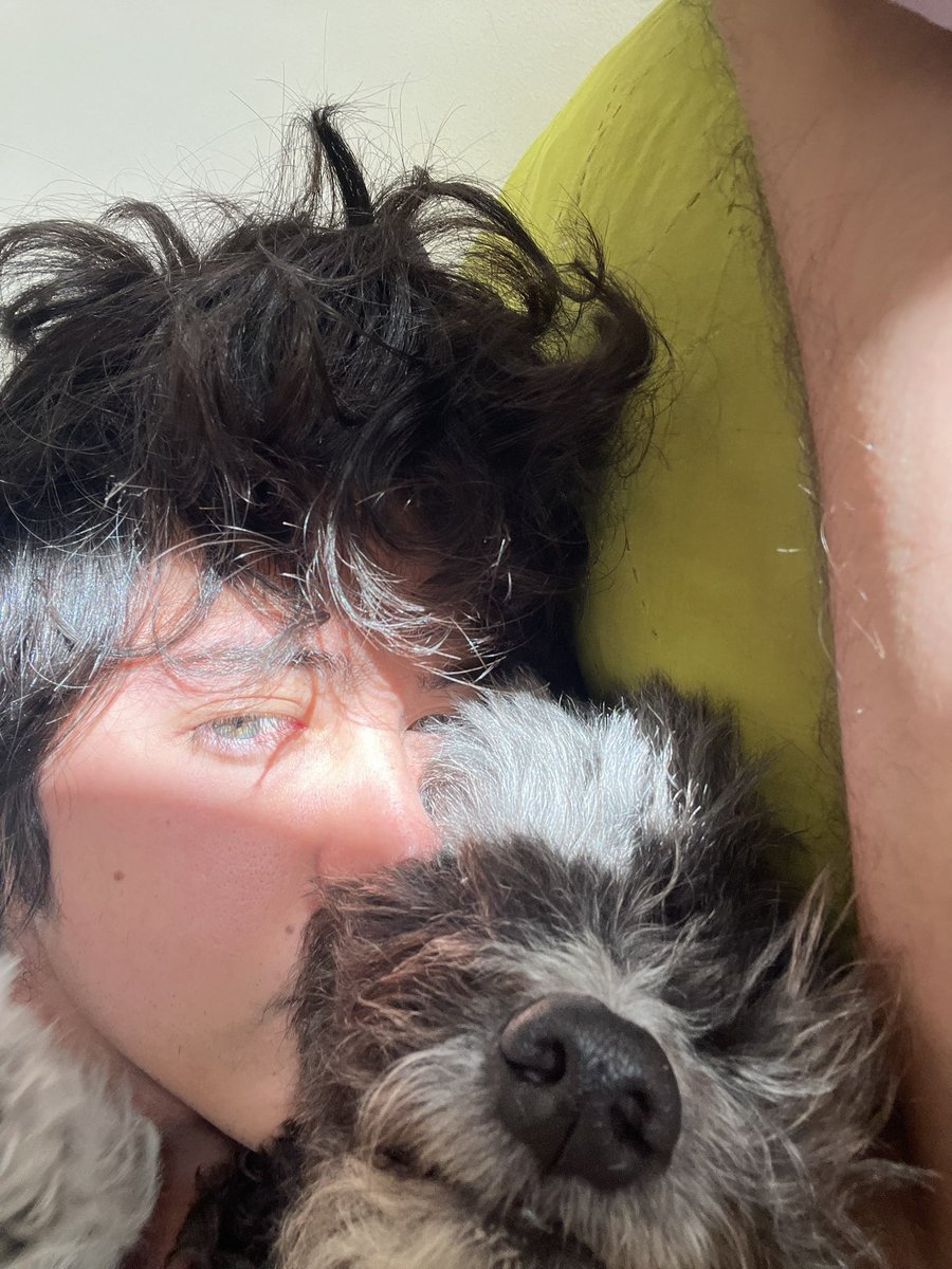 solivarest's tweet image. me gustó