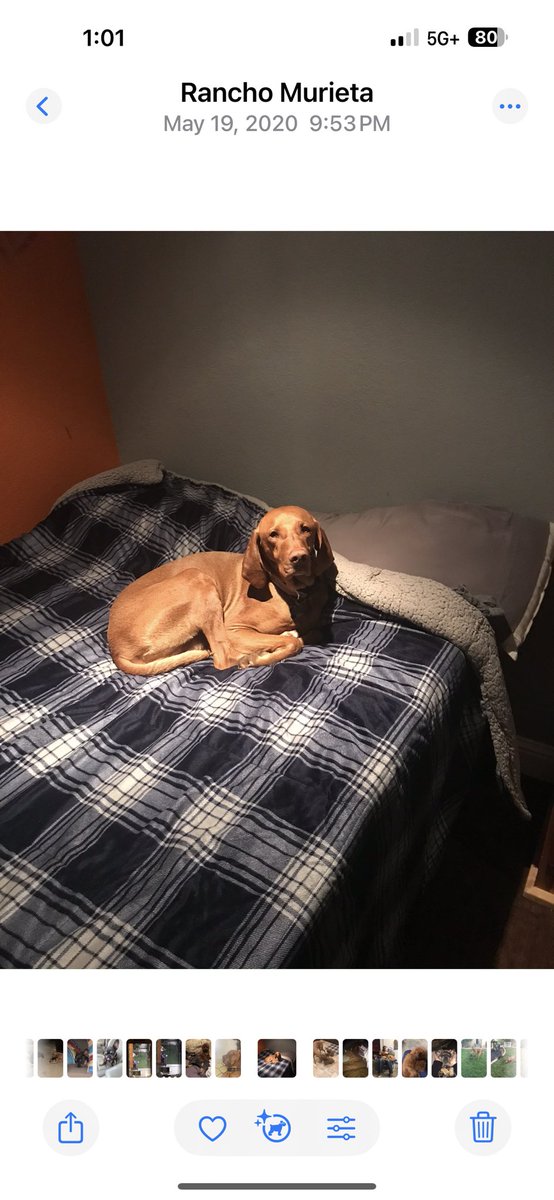 Scott Abraham tweet media