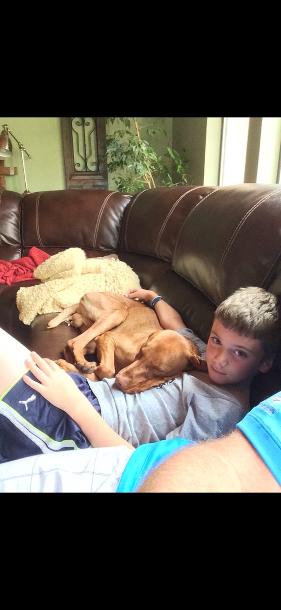 Scott Abraham tweet media