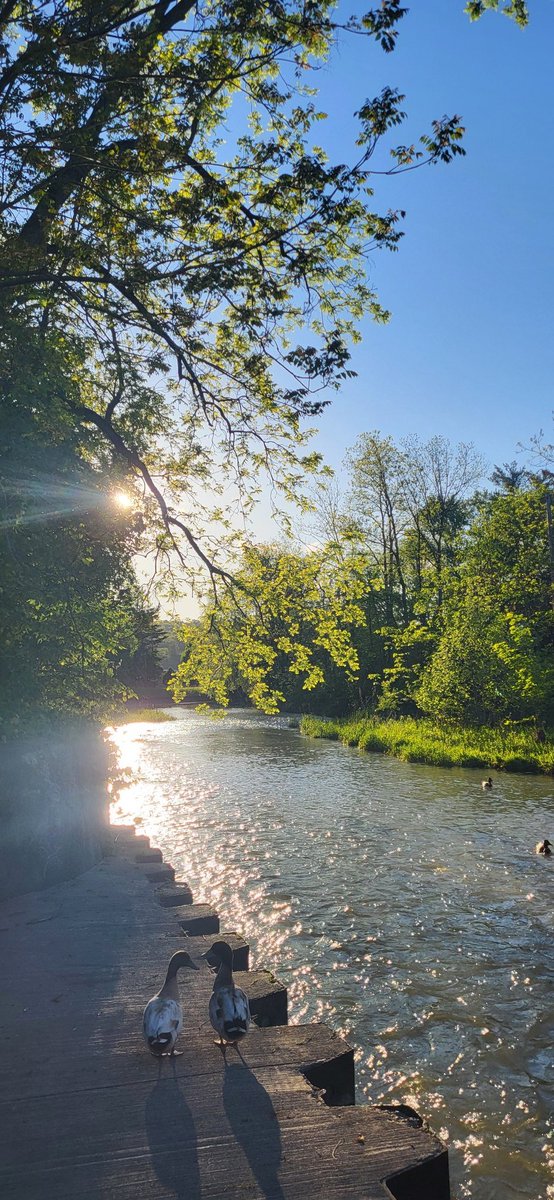 Wunpini F. Mohammed, Ph.D tweet media