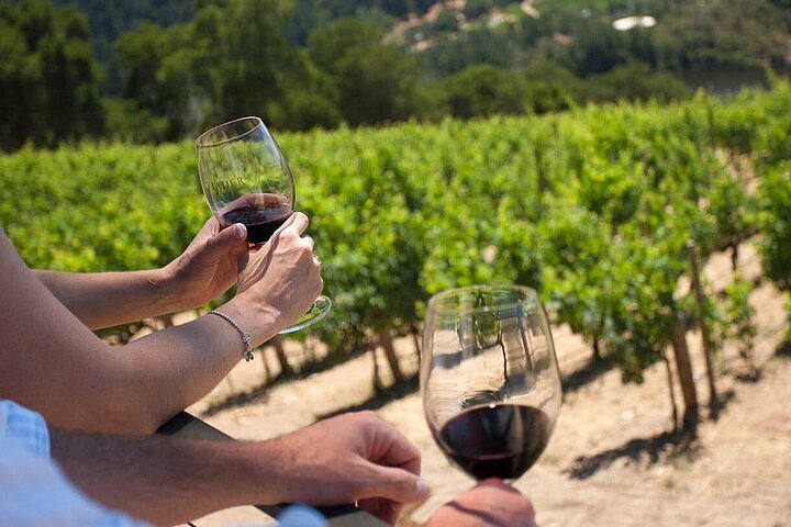Brett_Ford_RP's tweet photo. A private wine tour for myself and my girl #NapaValley #Weekendvacation @BellaSnow_Rp https://t.co/SFTfNitspy