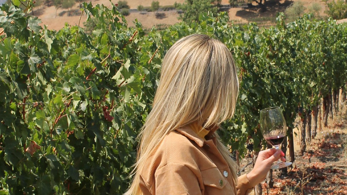Brett_Ford_RP's tweet photo. A private wine tour for myself and my girl #NapaValley #Weekendvacation @BellaSnow_Rp https://t.co/SFTfNitspy
