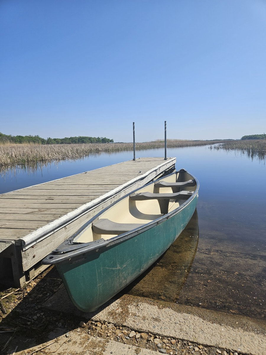 Strendō tweet media