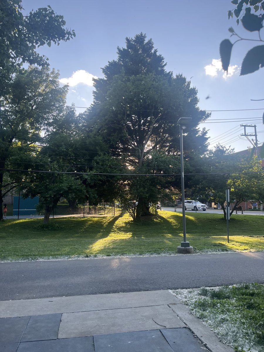 HopeJudith9's tweet image. Monday evening vibes 🌅 What's on your mind when you're surrounded by people playing, walking dogs, and hanging out with friends at the park? For me, I'm too stressed to think 😅 #ParkLife #MondayBlues