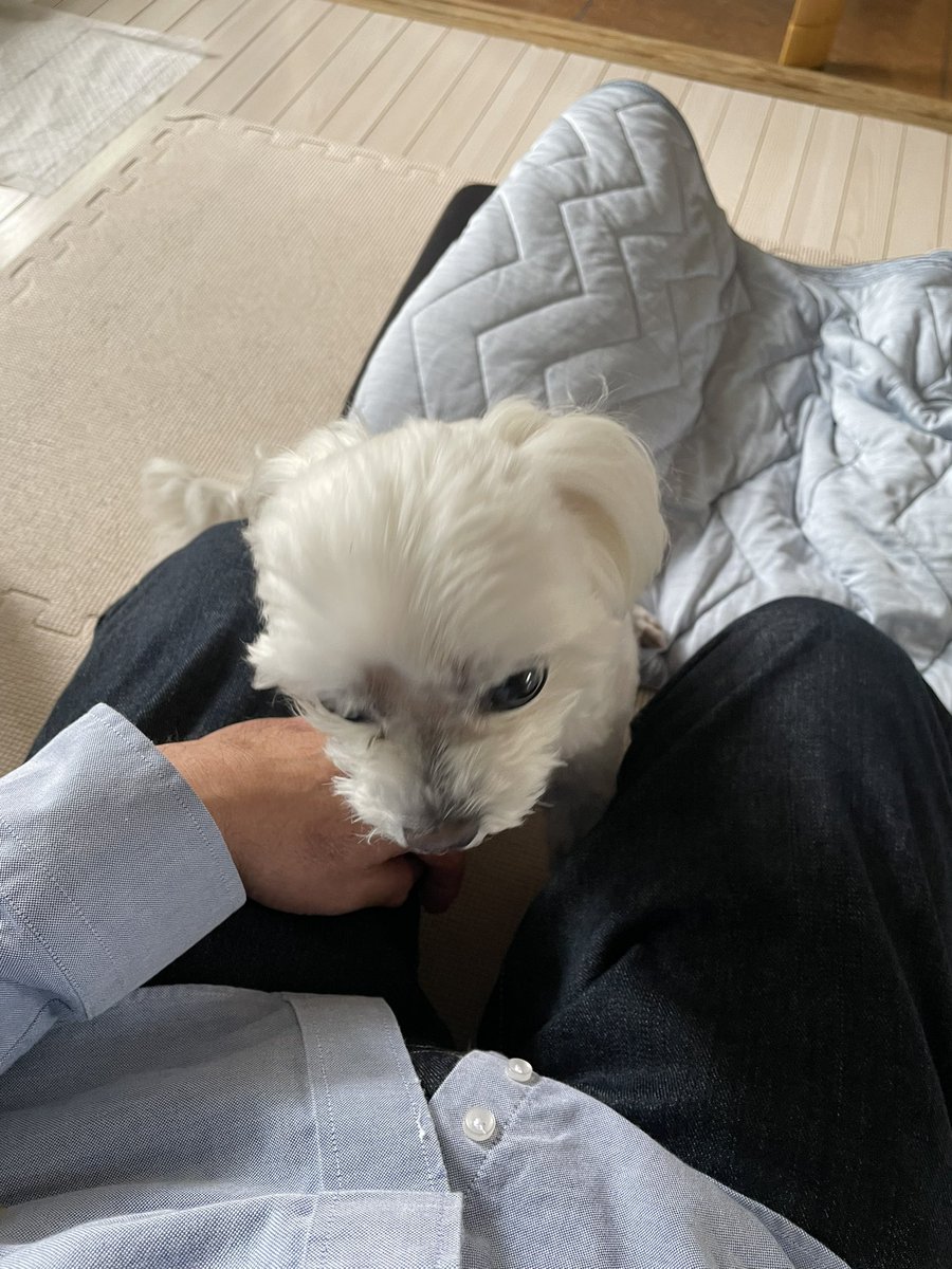 Kou54762677's tweet image. おはようございます
無理せずに何とかなります
悩んでも必ず解決しますからね!
マル〜
一緒に行くー
で いつものこれ💢
で監視 動けない😅