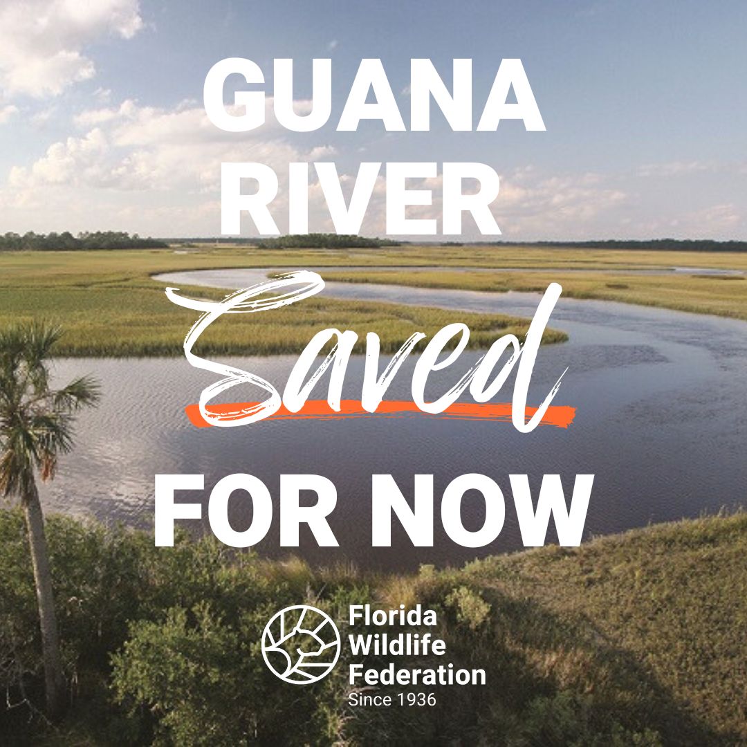 FlWildFed's tweet photo. 🚨 Breaking GOOD news: Guana River Safe for Now! 🎉
#StopTheSwap #GuanaRiver #GuanaRiverWMA #KeepFLWild #KeepFloridaWild #FWF #FloridaWildlifeFederation https://t.co/hhdowpl86K