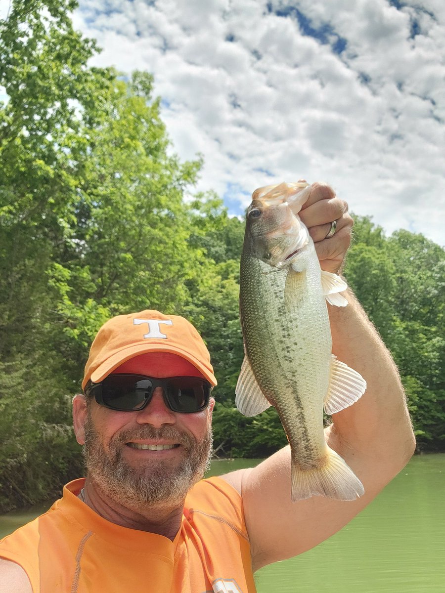 My Therapist wasn't too bad to me at Douglas. Best 5 was 10.5 on the nose thanks to a 4.9 kicker. Otherwise it was about 6lbs. 
advantagebait.com pulsefishlures.com hardcorefishandgame.com trueswimbaits.com