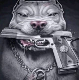 codeindesire's tweet image. te odeio ensino médio