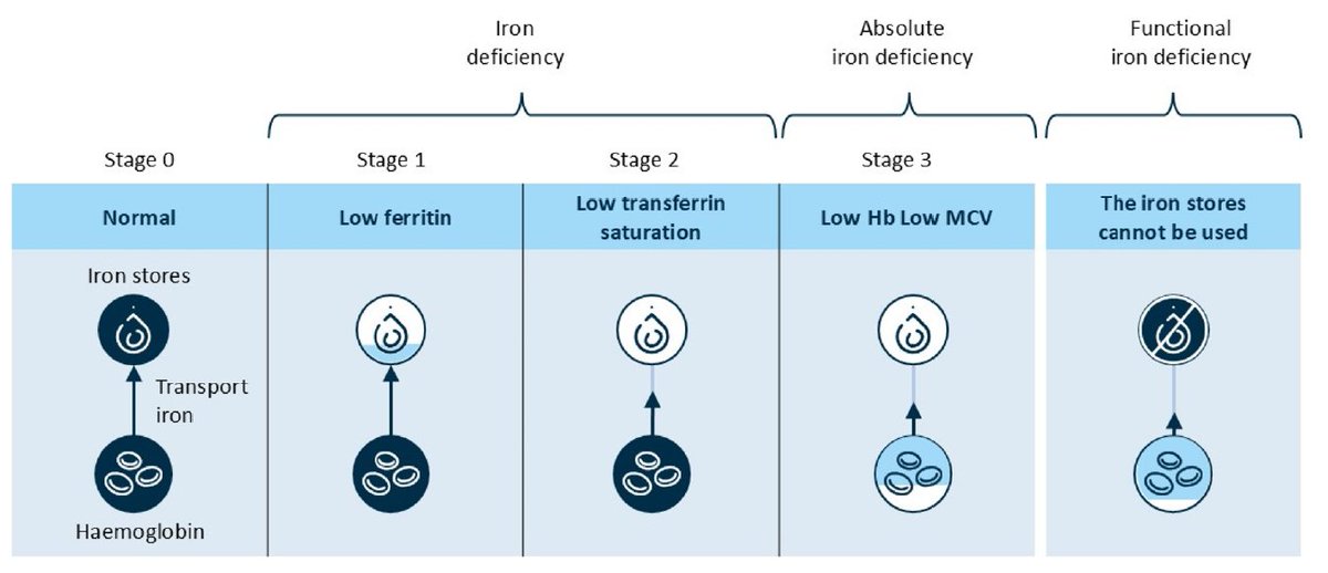Jason Hou tweet media