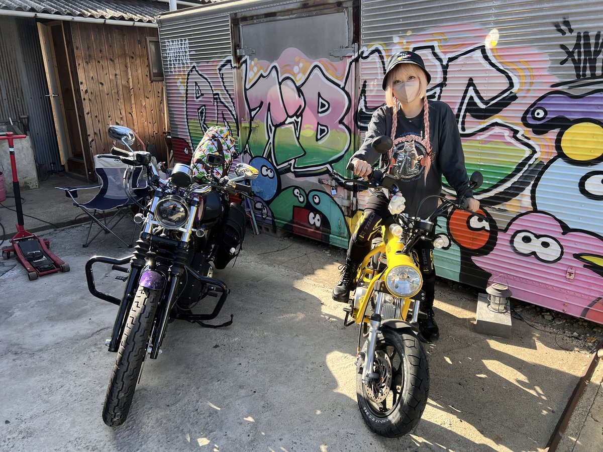 🫘まめ🐶しば tweet media