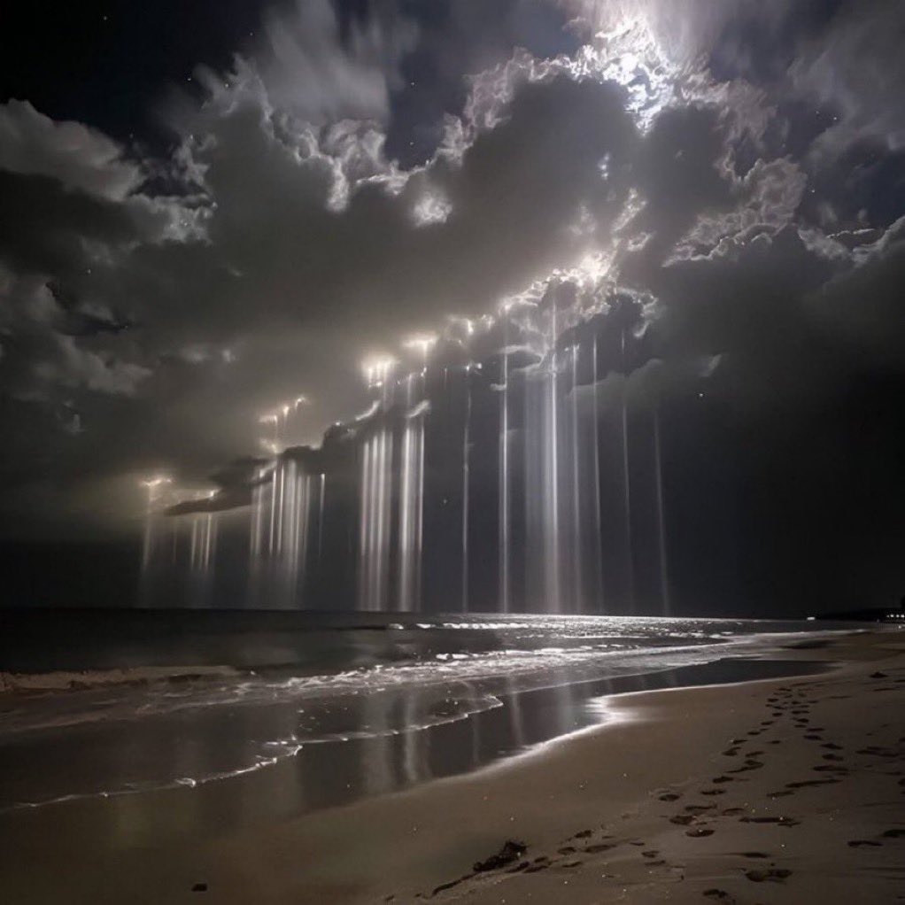 Caroline Polachek News ✶𓏲ּ꩜ .ᐟ tweet media