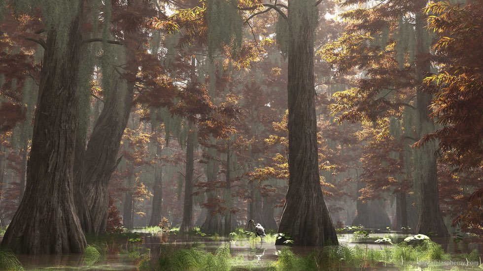 Bayou (Summer/Autumn)