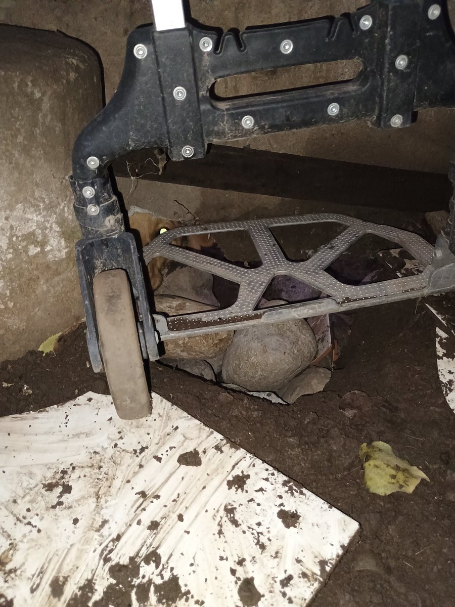 PonceJeanina's tweet photo. @MuniLaFlorida @danielreyesmor nuevamente los perros de mi vecina hicieron otro hoyo y se metieron mi patio? Quién hace cumplir la ley cholito??? Ella debería haber arreglado eso hace rato y de diciembre que les estoy pidiendo ayuda https://t.co/Ajg7EEzNOS